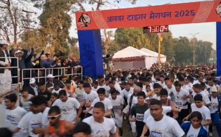 अलवर टाइगर मैराथन  दौड़ का भव्य आयोजन:केंद्रीय पर्यावरण एवं वन मंत्री  भूपेन्द्र यादव ने झंडी दिखाकर किया शुभारम्भ