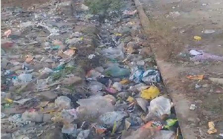 मनसा चौक से वसुंधरा नगर तक नाला भरा होने से स्थानीय लोग हुए परेशान