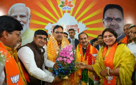 मुख्यमंत्री से नवनिर्वाचित जिलाध्यक्ष डॉ. भंडारी ने की शिष्टाचार भेंट