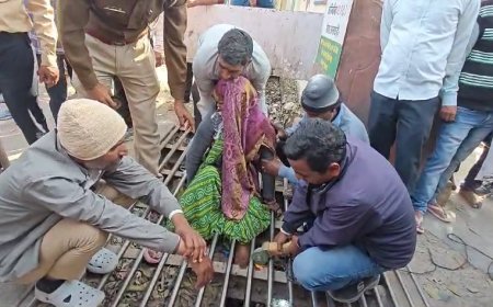 अस्पताल के मुख्य द्वार पर बने काउ केचर के जाल में फंसा पैर, कटर से सरिए काट बमुश्किल निकाला बाहर