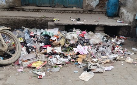 कस्बे की सफाई व्यवस्था को लेकर कनिष्ठ अभियंता से मिला प्रतिनिधीमंडल