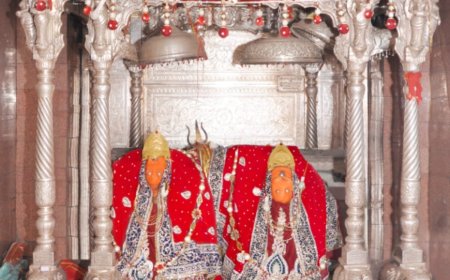 मां शाकंभरी सेवा समिति सकरायधाम (रजी.) के तत्वाधान में होगा महोत्सव का आयोजन