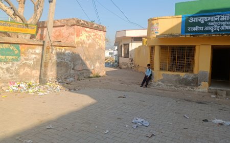 वार्डों में जगह-जगह लगे हैं कचरे के ढेर नहीं हो रहा कचरे का उठाव