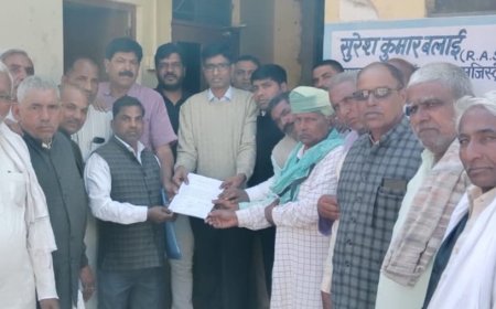 सोडावास को पंचायत समिति बनाने को लेकर मुख्यमंत्री के नाम सौंपा ज्ञापन