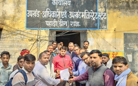 बिजली विभाग के अधिकारीयों के साथ मारपीट के आरोपी पूर्व सरंपच सहित अन्य अपराधियो की गिरफ्तारी नही होने पर प्रदर्शन कर जिला कलेक्टर के नाम उपखण्डाधिकारी को ज्ञापन सौेपा 