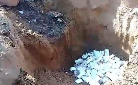 खाद्य सुरक्षा विभाग की कार्रवाई :मिलावटी पनीर की पहचान कर मौके पर नष्ट किया 400 किलो दूषित पनीर