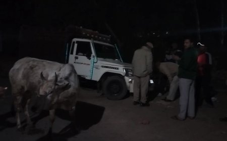 गौतस्करी का बेखौफ सिलसिला जारी: पुलिस व गौतस्करों के बीच पत्थरबाजी व फायरिंग