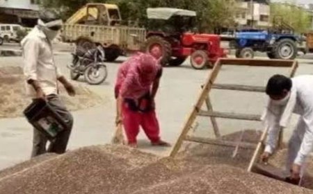 तीन सूत्रीय मांगों को लेकर कृषि उपज मंडी रही बंद