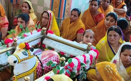 महाशिवरात्रि पर दीपेश्वर महादेव मंदिर में आयोजन:हल्दी रस्म में उमड़े श्रद्धालु