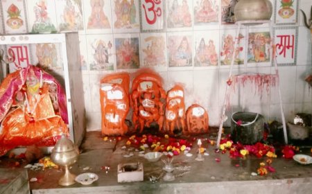 सकट के ख़ाक नाथ मंदिर में पूर्णाहुति के साथ संपन्न हुआ तीन दिवसीय सामुहिक हवन यज्ञ