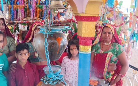 बाघोली में शिवरात्रि पर शिवालियों में गूंजे जयकार,  महाशिवरात्रि पर्व पर शिव मंदिरों में पूजा अर्चना कर किया जलाभिषेक