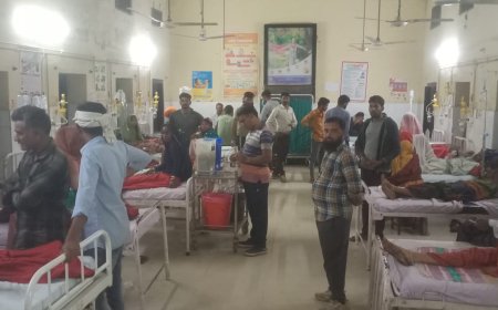 द्धालुओं पर मधुमक्खियों का अचानक हमला, आठ महिलाएं सहित 15 घायल