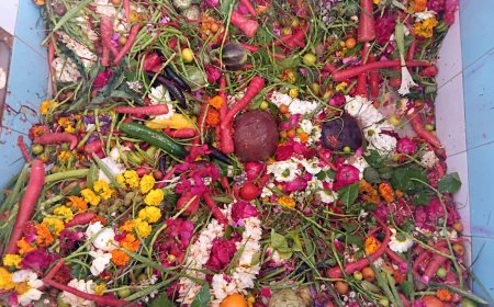 शिवरात्रि महापर्व पर महुवा के मंदिरों में भगवान शिव की श्रद्धालुओं ने की पूजा अर्चना व्रत रखकर रात्रि में किए रुद्राभिषेक