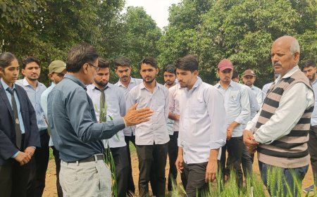 ग्रामीण उद्यामिता कृषि विकास योजना के तहत विद्यार्थियों ने किया रोगिंग का कार्य