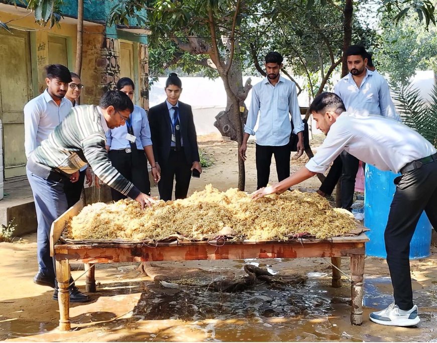 मशरूम उत्पादन  के लिए कृषि महाविद्यालय भुसावर पर करें प्रशिक्षण प्राप्त