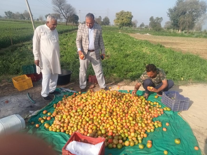 संयुक्त निदेशक उद्यान विभाग भरतपुर द्वारा बयाना वैर भुसावर क्षेत्र का दौरा कर उधानिकी गतिविधियों का किया अवलोकन