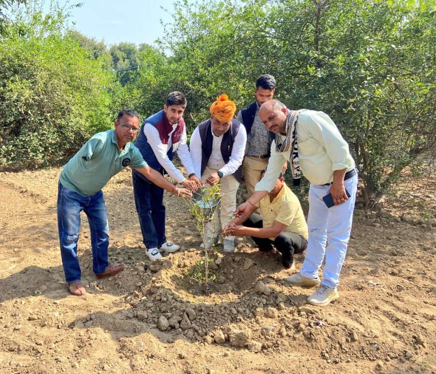 वन एवं पर्यावरण मंत्री राजस्थान के 56 वे जन्मोत्सव  पर भाजपा मंडल अध्यक्ष ने किया पौधारोपण