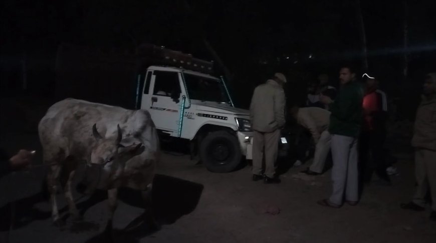 गौतस्करी का बेखौफ सिलसिला जारी: पुलिस व गौतस्करों के बीच पत्थरबाजी व फायरिंग