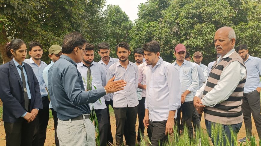 ग्रामीण उद्यामिता कृषि विकास योजना के तहत विद्यार्थियों ने किया रोगिंग का कार्य