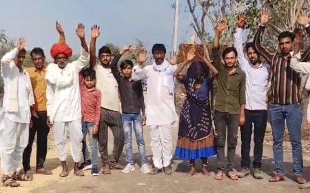 एक करोड़ आठ लाख की लागत से बनी सड़क पर उगी घास, गारंटी पीरियड में हुई बदहाल