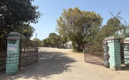 जहाजपुर कृषि मंडी में 10 मार्च से शुरू होगी गेहूं की खरीद, किसानों को मिलेगा 2575 रुपए प्रति क्विंटल