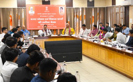 मुख्यमंत्री ने ओलावृष्टि प्रभावित जिलों की स्थिति की कलेक्टर्स के साथ की समीक्षा, मांगी रिपोर्ट