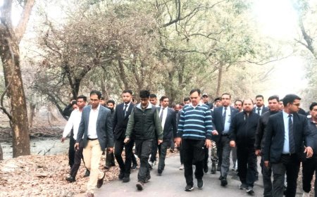 मुख्यमंत्री भजनलाल शर्मा ने केवलादेव राष्ट्रीय उद्यान में किया भ्रमण