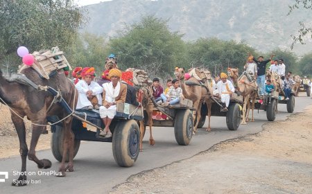 आज भी कायम है पुरानी परंपरा, पहाड़िला में दूल्हे की ऊंटगाड़ियो से निकली बारात