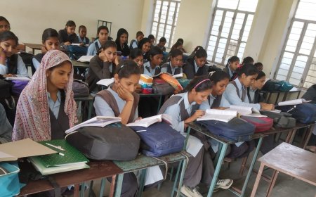 राजस्थान में बेटी बचाओ अभियान को मिली नई दिशा: लाड़ो प्रोत्साहन योजना की किस्तें अब शाला दर्पण पोर्टल से मिलेंगी