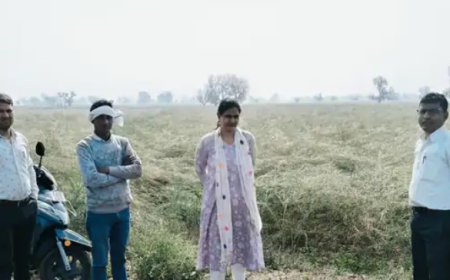 ओलावृष्टि से किसानों की फसलों को नुकसान: बड़ौदामेव में तहसीलदार ने किया सर्वे, मुआवजे की मांग