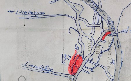 परिसिमन के तहत ग्राम पंचायत गुरलाँ के वार्ड को व्यवस्थित ब्लॉक में करे परिवर्तित