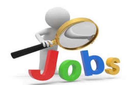 भरतपुर व जिला डीग के कार्यालयों में रिक्त पदो पर आवेदन पत्र आमंत्रित