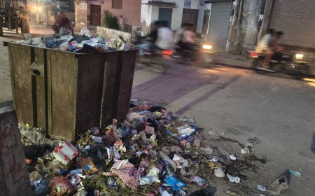 वेतन नहीं मिलने से नाराज़ ठेका सफाई कर्मियों ने की हड़ताल, शहर में नहीं उठा कचरा