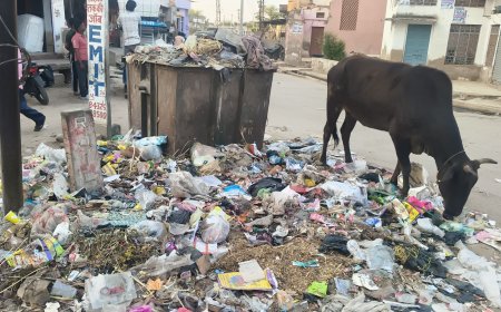 कस्बे में गंदगी का आलम, जगह-जगह लगे कचरे के ढेर