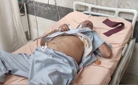 आंवारा गौवंश ने किया वृद्ध को घायल आईसीयू में भर्ती