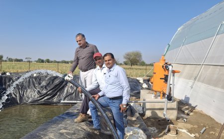 संयुक्त निदेशक उद्यान भरतपुर संभाग भरतपुर द्वारा किया गया ग्रीन हाउसों का सत्यापन