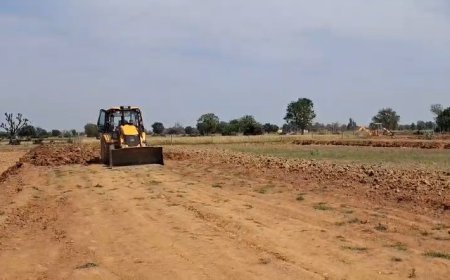 दस बीघा कृषि भूमि पर हो रही अवैद्य प्लाटिंग पर विभाग की कार्यवाही जारी