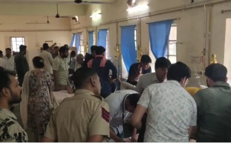 दाह संस्कार के दौरान मधुमक्खियों का हमला, 4 दर्जन लोग घायल