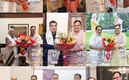 राजस्थान के मुख्यमंत्री भजनलाल शर्मा ने एक दिन में 9 केंद्रीय मंत्रियों से मुलाकात करने का बनाया रिकॉर्ड