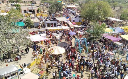 बागोरा में भरा शीतला माता का मेला,  मां शीतला के ठंडे पकवानों का लगाया भोग