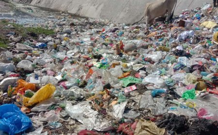 बनास नदी के बहाव के साथ ही सबसे बड़ी पेयजल उपलब्ध कराने वाले बीसलपुर बाध में पहुचता कचरा, होता है जल प्रदूषित