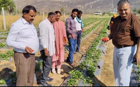 संयुक्त निदेशक उद्यान भरतपुर संभाग ने अलवर में किया उधानिकी योजनाओं का सत्यापन