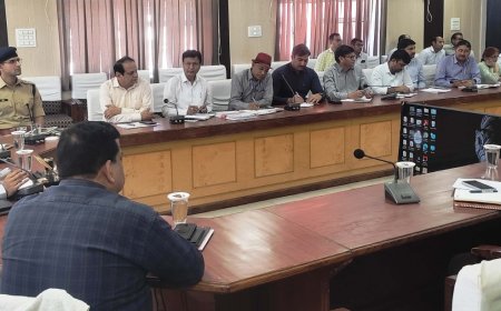 मौसमी बीमारियों की रोकथाम के लिए हो नियमित एंटी लार्वा व फॉगिंग गतिविधियां - जिला कलक्टर