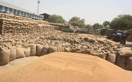 आढ़तियों के द्वारा ही फसलों की खरीद की जाएगी