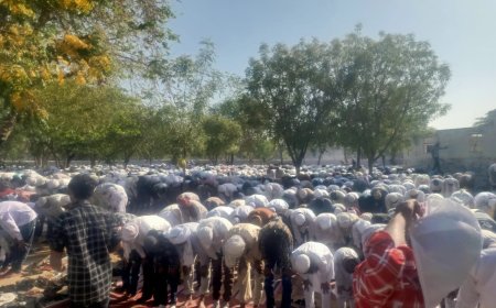 ईदगाहों में अदा की गई ईद की विशेष नमाज, मुस्लिम समुदाय के लोगों ने सामूहिक रूप से पढ़ी ईद की नमाज