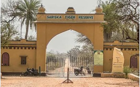 सरिस्का पर्यटन स्थल पर सैलानी की ह्रदय गति रूकने से मौत