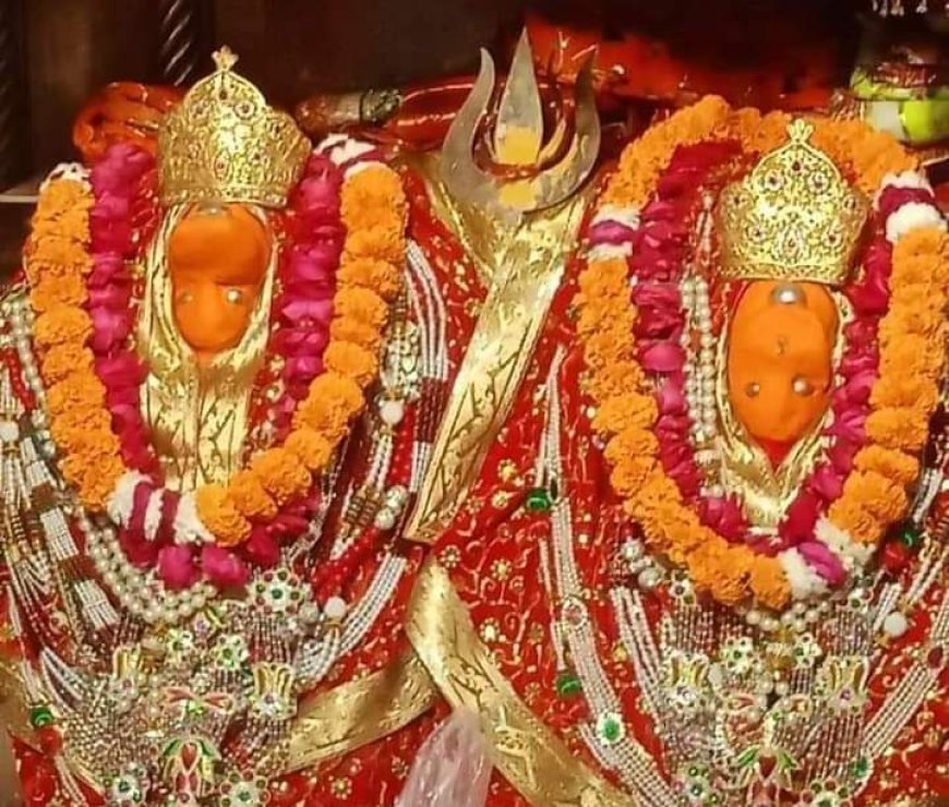 शाकंभरी सकराय धाम में पंचम फागण महोत्सव की तैयारियां जोर-शोर से :बंगाल के अलौकिक फूलों से होगा मां शाकंभरी का श्रृंगार