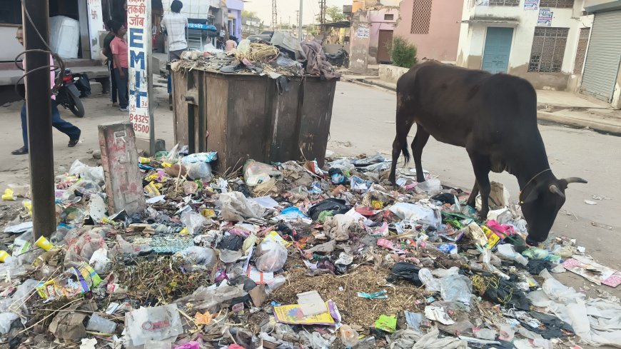 कस्बे में गंदगी का आलम, जगह-जगह लगे कचरे के ढेर