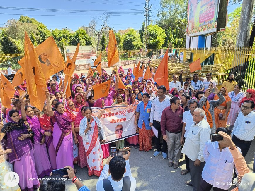 भारतीय मजदूर संघ ने जिला मुख्यालय पर प्रदर्शन कर सौंपा ज्ञापन