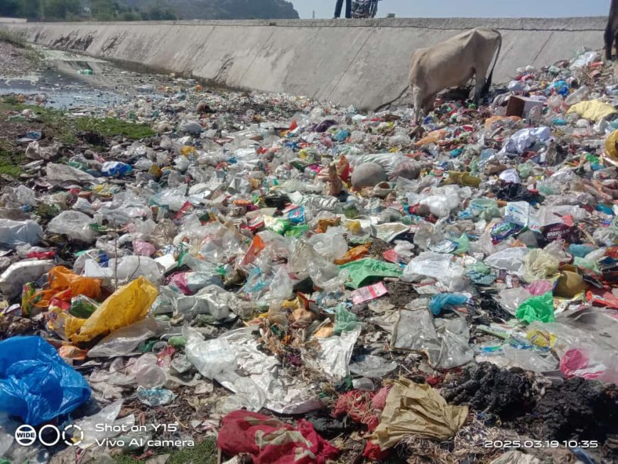 बनास नदी के बहाव के साथ ही सबसे बड़ी पेयजल उपलब्ध कराने वाले बीसलपुर बाध में पहुचता कचरा, होता है जल प्रदूषित